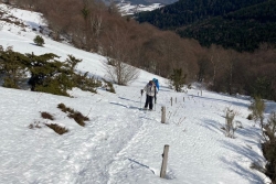 2023-02-19 Rando Raquette plateau du Chioula